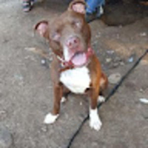 Meet your Posher, Jeff